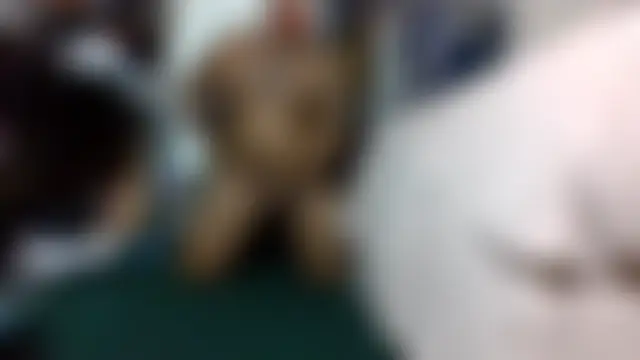 HBYAM Show in webcam