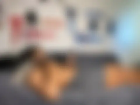 bigdinca's Webcam Show
