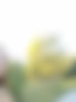 Živá chatovací místnost Vana-lova
