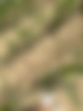justmilaa 现场聊天室