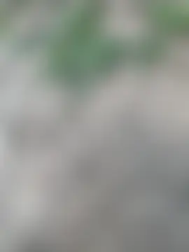 Seks show uživo modela justmilaa na kameri