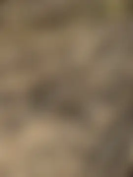 justmilaa's Live Sex Cam Show