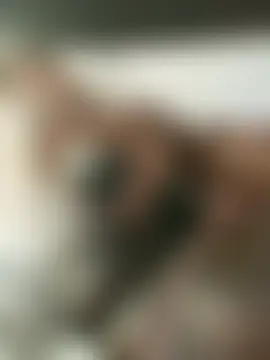 Živý XXX chat bunny_rebel