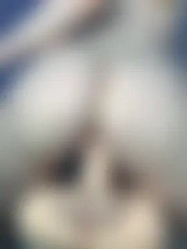 Alexa_Handler's Live Chat Room