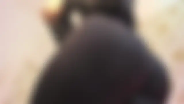 emaa_lambert 실시간 채팅방