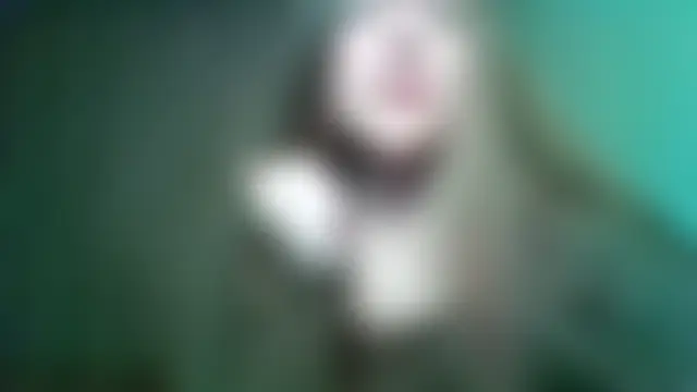Evasapples Live Chatrum