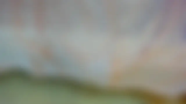 Stefany_Label Live chatroom