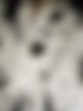 Sellena2 Adlı Modelin Canlı Sohbet Odası