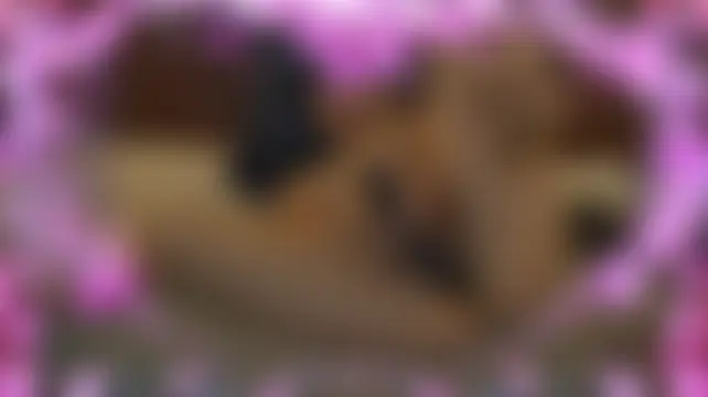 Eimyaniston_cuten Live chat-huone