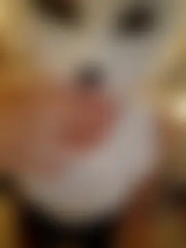 SPrITZMAUS Webcam-Show