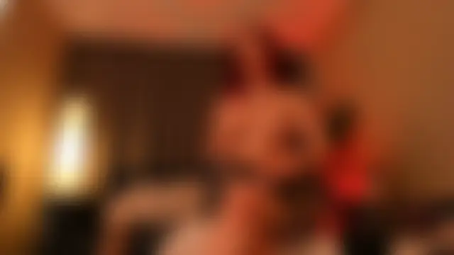 Bilik Sembang Langsung torri_kitten