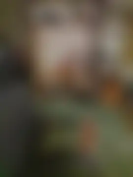 lalallalalaa-'s Live Chat Room