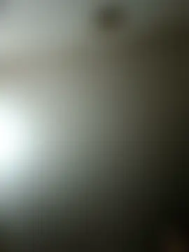 Bilik Sembang Langsung Virgin_Pussy_Love