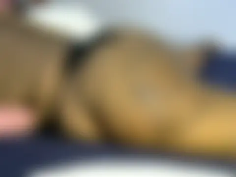 FATNASTYASS69 Ruang Obrolan Langsung