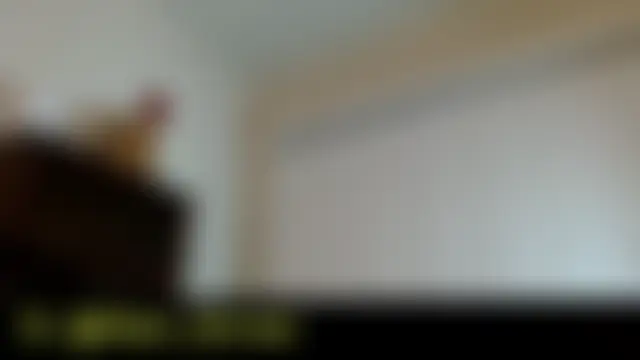 sinnernoir 网络视讯表演