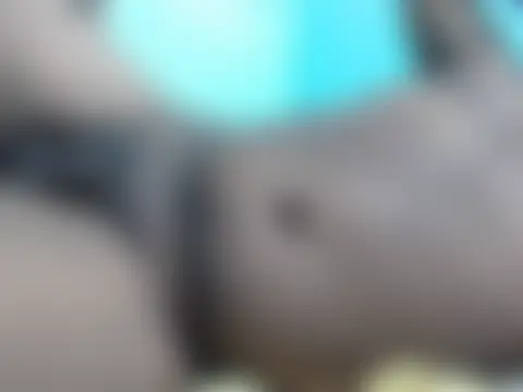 عرض كام funalu