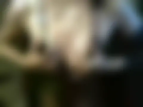 Chat soba uživo modela sexysia77