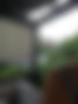 Phòng Chat Trực Tiếp Fuxy-love69