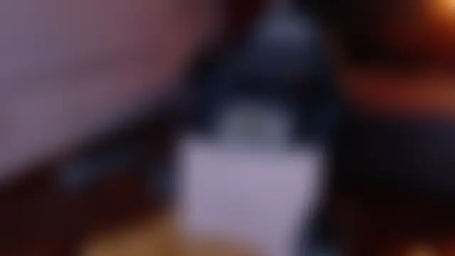 fyreandfox_のライブチャットルーム
