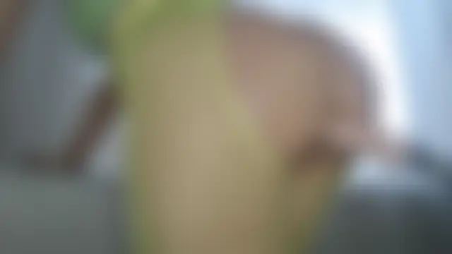 غرفة دردشة DreamMoon المباشرة