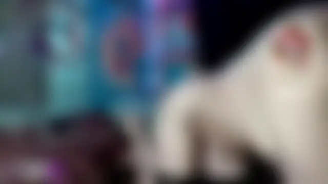 NatashaRex – Naživo chatovacia miestnosť