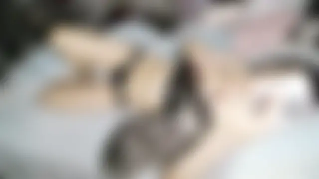 hebe-02's Live Chat Room