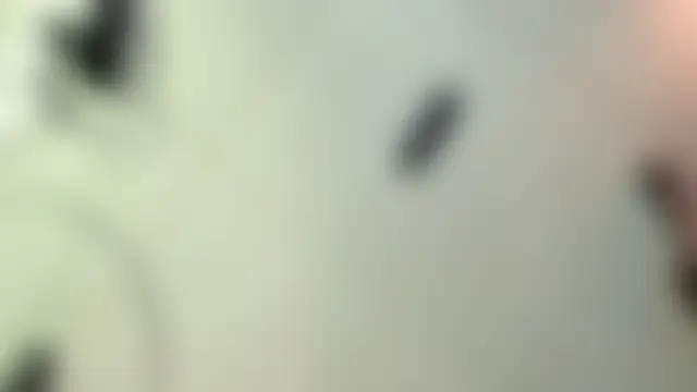 eva_sin18 লাইভ চ্যাট রুম
