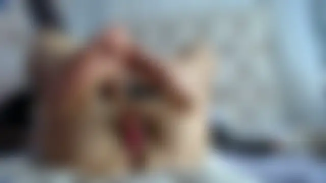Czat XXX na żywo – margott_22_