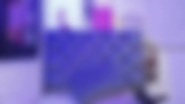 Show Webcam de SALOME_KORLAND