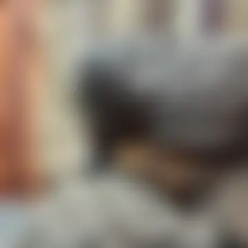 عرض كام Ortiz3404