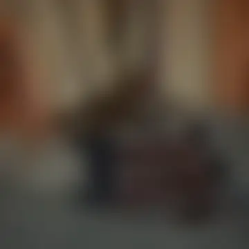Chat ao vivo de Ortiz3404