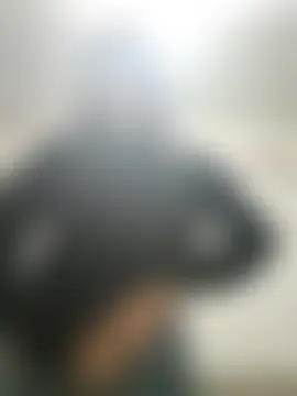 Dannial51のライブチャットルーム