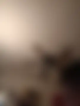 himNIGuys' Webcam Show