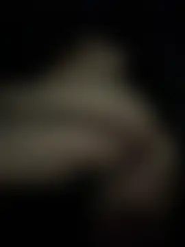 Michelle_Zoe 실시간 채팅방