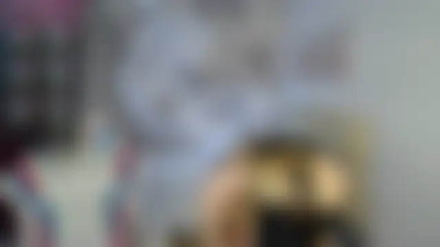 aliicemeow 실시간 채팅방