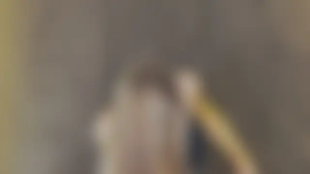 MarilynNova 即時聊天室