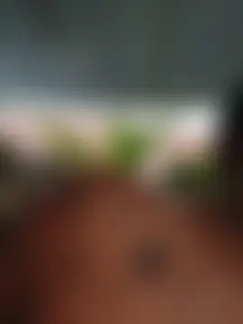 Chat soba uživo modela Rous-squir