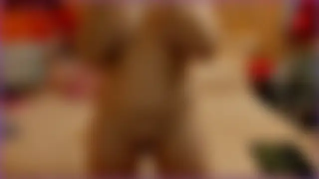 Sala de chat en directo de Diamond_Jenny