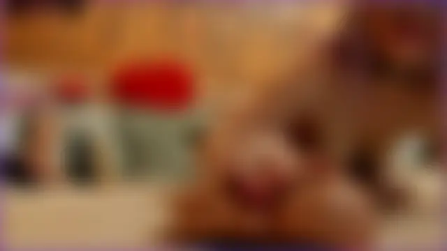 Diamond_Jenny Live Chatrum