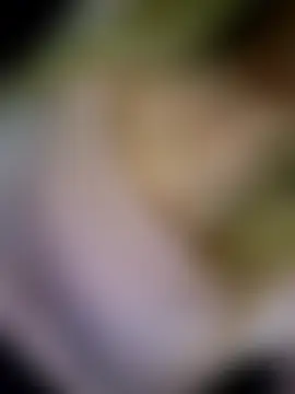 Sala de chat ao vivo de lotteliefde1