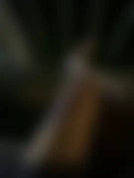 Bilik Sembang Langsung __BabyShowPublic__