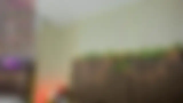 LanaMills_n Live chat-huone