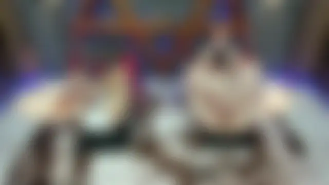 BDSM_EXOTICDOMINATI0N2's Webcam Show