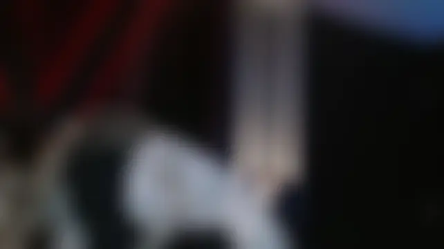 Venus_Rock's Live Chat Room