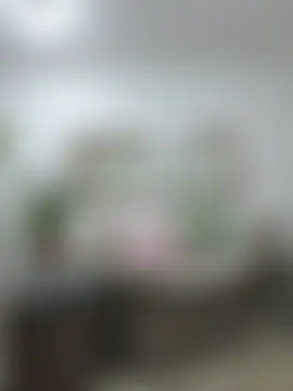 swity_foster 现场聊天室