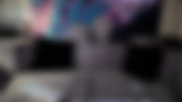 Show webcam de davesinner