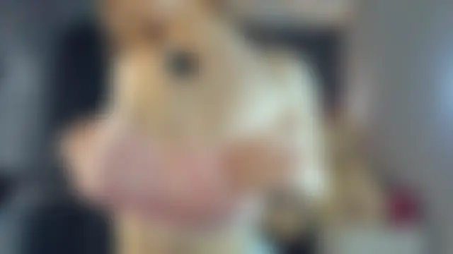 BelleDream's Live Chat Room