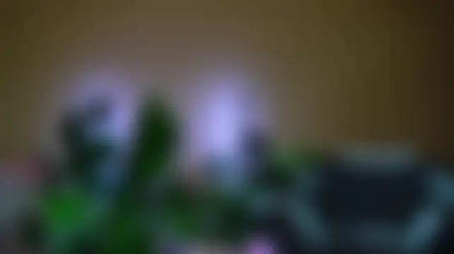 Viola_Becker Live Chatraum