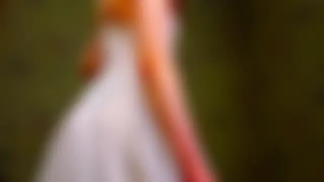 emi_lessn Live chat-huone