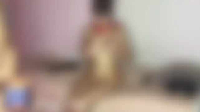 Show de sexo ao vivo de cream_fucks
